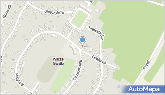 ORLEN Paczka Automaty, Lewkonii 5, Gliwice 44-152, godziny otwarcia