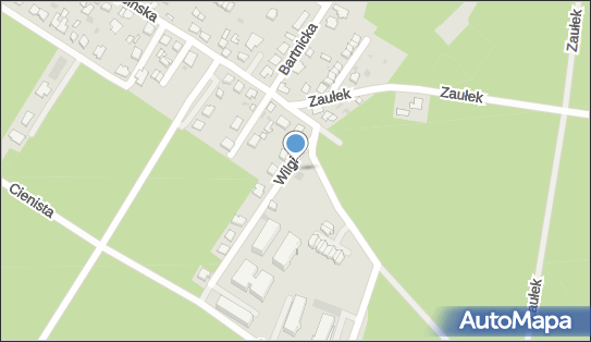 ORLEN Paczka Automaty, Wilgii 1, Włocławek 87-800, godziny otwarcia