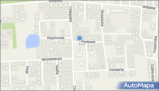 ORLEN Paczka Automaty, Perłowa 2, Kębłowo 84-242, godziny otwarcia