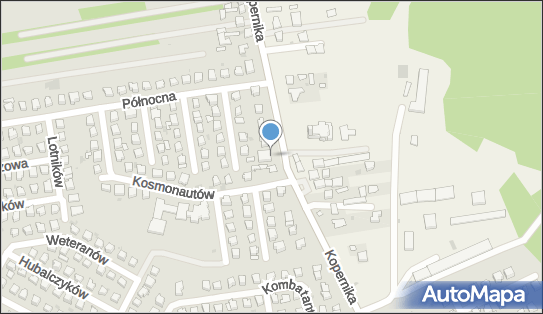 ORLEN Paczka Automaty, Mikołaja Kopernika 47, Lubartów 21-100, godziny otwarcia