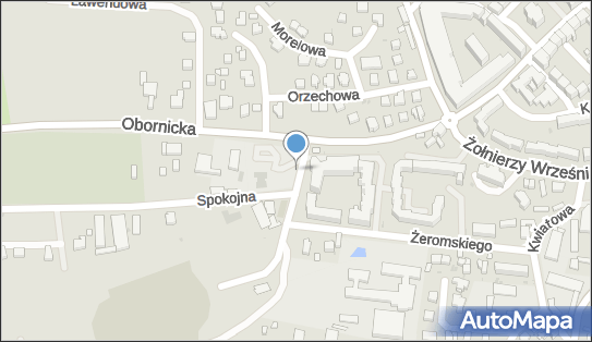 ORLEN Paczka Automaty, Obornicka 19, Trzebnica 55-100, godziny otwarcia