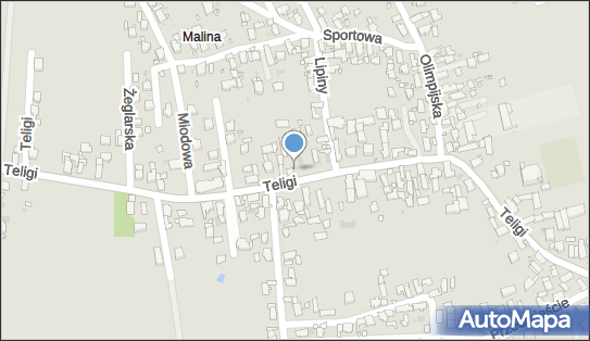 ORLEN Paczka Automaty, Leonida Teligi 59A, Opole 45-001, godziny otwarcia