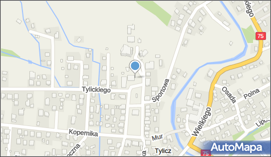 ORLEN Paczka Automaty, Rynek 16, Tylicz 33-383, godziny otwarcia