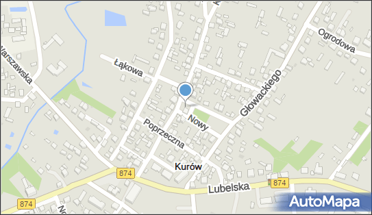 ORLEN Paczka Automaty, Tadeusza Kościuszki 12A, Kurów 24-170, godziny otwarcia