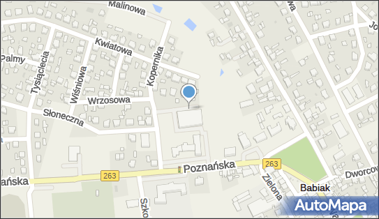 ORLEN Paczka Automaty, Sezamowa 2, Babiak 62-620, godziny otwarcia