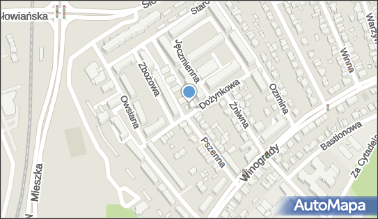 ORLEN Paczka Automaty, Dożynkowa 7, Poznań 61-661, godziny otwarcia