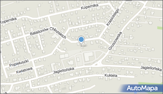 ORLEN Paczka Punkty, Jagiellońska 39C, Dąbrowa Tarnowska 33-200, godziny otwarcia