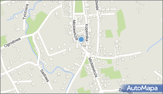 ORLEN Paczka Punkty, Mickiewicza 12, Tyczyn 36-020, godziny otwarcia