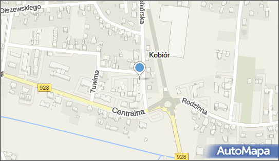 ORLEN Paczka Punkty, Kobiórska 1D, Kobiór 43-210, godziny otwarcia