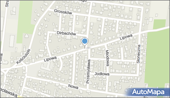 ORLEN Paczka Punkty, Przemysława 2, Bralin 63-640, godziny otwarcia