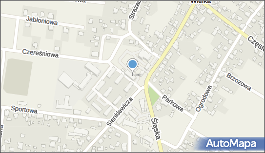 ORLEN Paczka Punkty, Szkolna 3, Wręczyca Wielka 42-130, godziny otwarcia