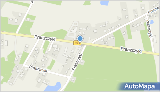 ORLEN Paczka Punkty, Praszczyki 51, Praszczyki 42-140, godziny otwarcia