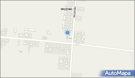 ORLEN Paczka Punkty, Woźniki 37, Woźniki 97-371, godziny otwarcia