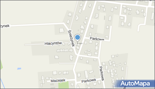 ORLEN Paczka Punkty, Kwiatowa 58, Nowe Bielice 76-039, godziny otwarcia