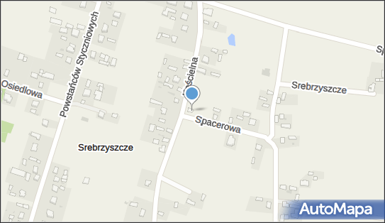 ORLEN Paczka Punkty, Spacerowa 12, Srebrzyszcze 22-100, godziny otwarcia