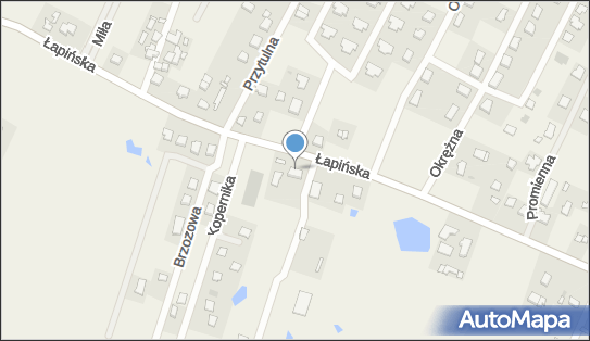 ORLEN Paczka Punkty, Łapińska 26, Przyjaźń 83-331, godziny otwarcia