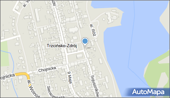 ORLEN Paczka Punkty, Rynek 6/1, Trzcińsko-Zdrój 74-510, godziny otwarcia