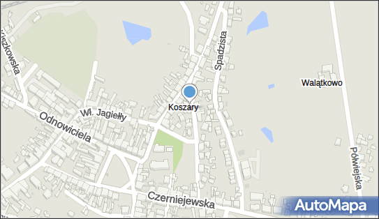 ORLEN Paczka Punkty, Łąkowa 4B, Pobiedziska 62-010, godziny otwarcia