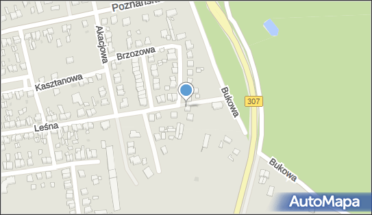 ORLEN Paczka Punkty, Leśna 72, Opalenica 64-330, godziny otwarcia