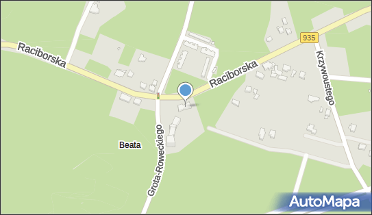 ORLEN Paczka Punkty, Raciborska 227, Rybnik 44-273, godziny otwarcia