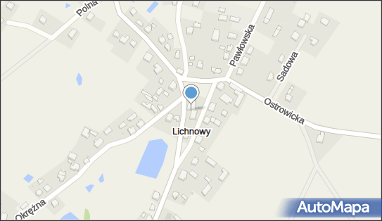 ORLEN Paczka Punkty, Główna 1, Lichnowy 89-620, godziny otwarcia