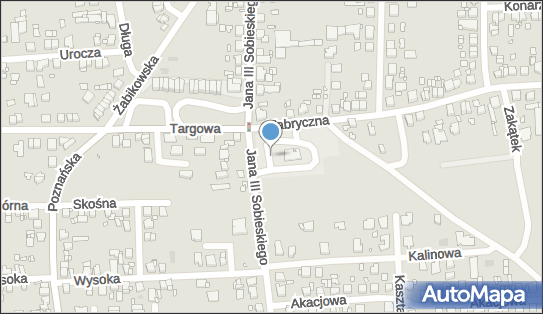 ORLEN Paczka Punkty, Sobieskiego 25, Luboń 62-031, godziny otwarcia