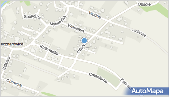 ORLEN Paczka Punkty, Akacjowa 1, Hecznarowice 43-330, godziny otwarcia