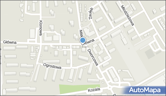 ORLEN Paczka Punkty, Główna 17, Janikowo 88-160, godziny otwarcia