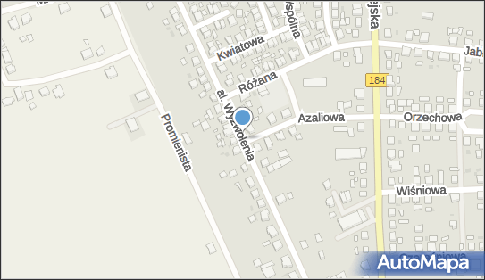 ORLEN Paczka Punkty, Al. Wyzwolenia 120A, Wronki 64-510, godziny otwarcia