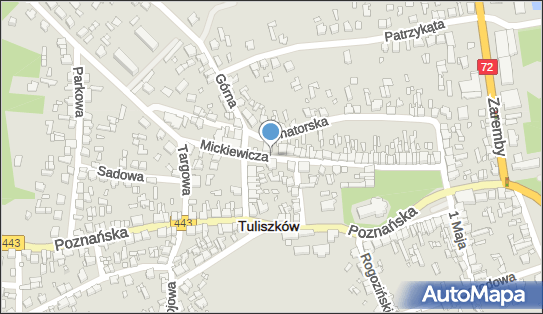 ORLEN Paczka Punkty, Mickiewicza 13, Tuliszków 62-740, godziny otwarcia