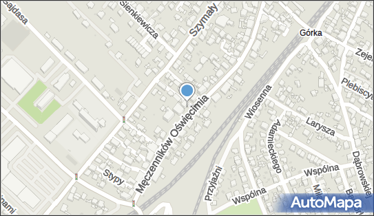 Expert, Męczenników Oświęcimia 38, Radzionków - Ośrodek Szkolenia Kierowców, numer telefonu