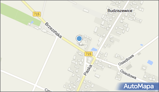 Paczkomat InPost BDZ01M, Brzezińska 3, Budziszewice 97-212