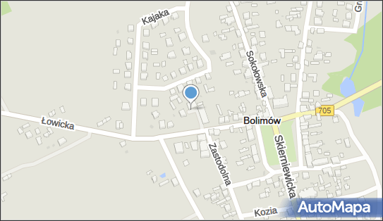 Paczkomat InPost BOI01BAPP, Łowicka 10B, Bolimów 99-417