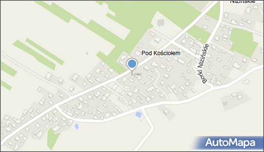 Paczkomat InPost BONK01BAPP, Borki Nizińskie 71, Borki Nizińskie 39-307