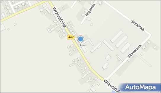 Paczkomat InPost BORZ01M, Wrzesińska 101, Borzykowo 62-307