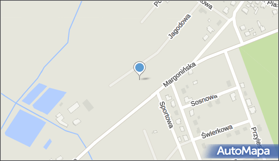 Paczkomat InPost BUD01BAPP, Jagodowa, Budzyń 64-840