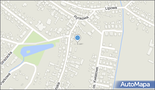 Paczkomat InPost BUD02A, Rogozińska 11, Budzyń 64-840