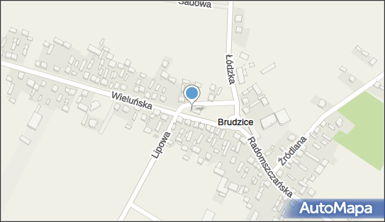 Paczkomat InPost BUDE01BAPP, Plac 3 Maja 1, Brudzice 97-565