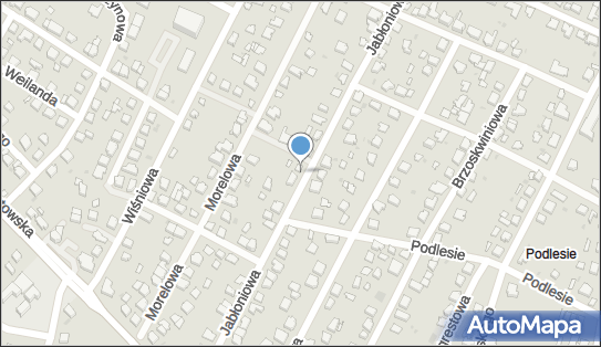 Paczkomat InPost CHC03N, Jabłoniowa 41, Chojnice 89-600