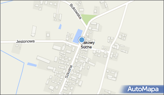 Paczkomat InPost DQS01BAPP, Kwiatowa 1, Dakowy Suche 64-320