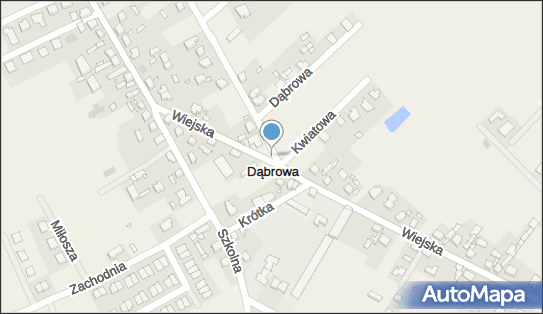 Paczkomat InPost DWA01BAPP, Wiejska 66, Dąbrowa 62-069