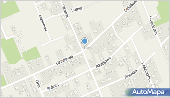 Paczkomat InPost DZX01BAPP, Działkowa 40, Działki 96-315