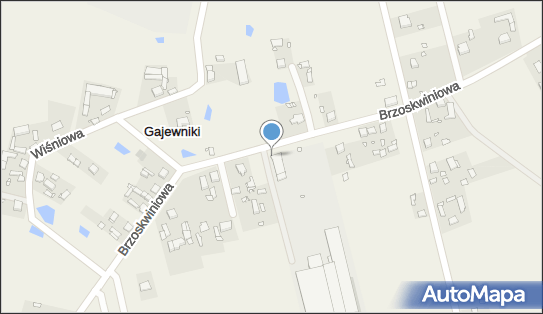 Paczkomat InPost GJV01G, Brzoskwiniowa 29, Gajewniki-Kolonia 98-220