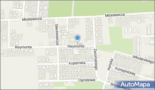 Paczkomat InPost GLH01BAPP, Władysława Reymonta 11, Gołuchów 63-322