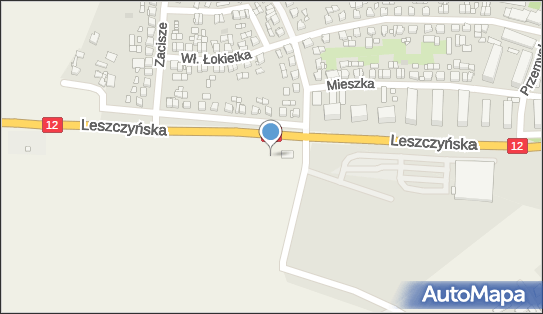 Paczkomat InPost GOS05N, Leszczyńska 9, Gostyń 63-800