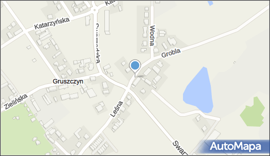 Paczkomat InPost GUS01M, Swarzędzka 89, Gruszczyn 62-006