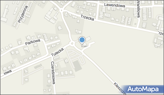 Paczkomat InPost GWW01M, Kleszczewska 1, Gowarzewo 63-004