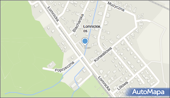 Paczkomat InPost JGO15M, Łomnicka 55, Jelenia Góra 58-500