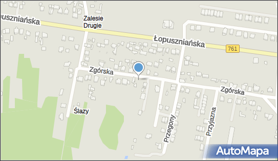 Paczkomat InPost KIE12BAPP, Zgórska 119, Kielce 25-827