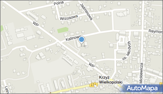 Paczkomat InPost KWP02M, Kalinowa 9, Krzyż Wielkopolski 64-761